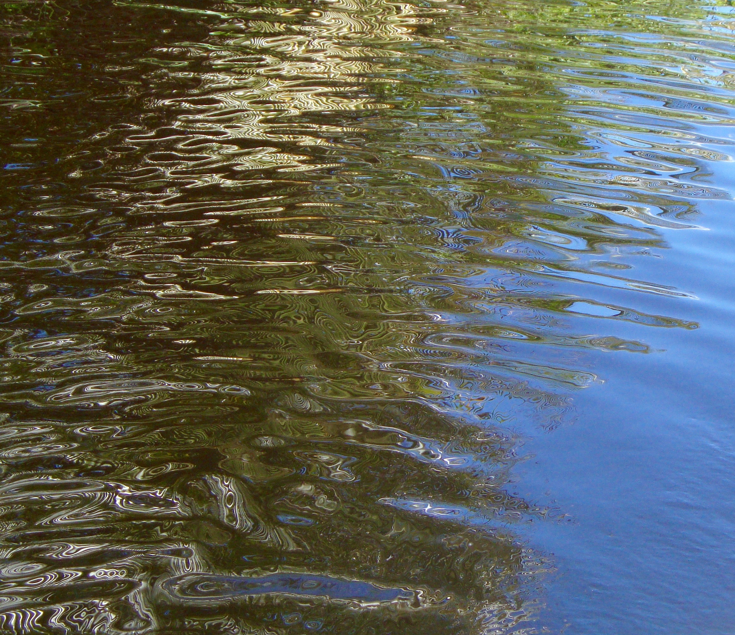 Chuck's Pond 2 - 20 of 21.jpg