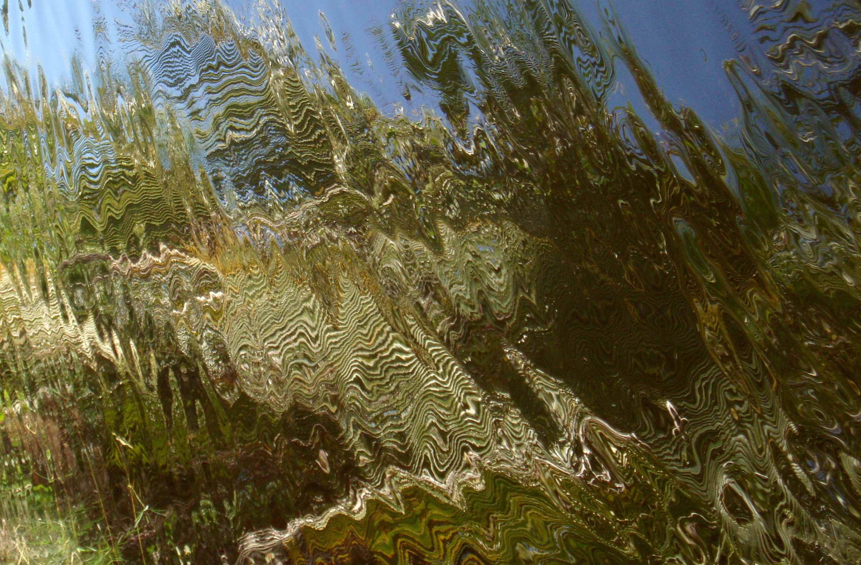 Chuck's Pond - 13 of 16.jpg